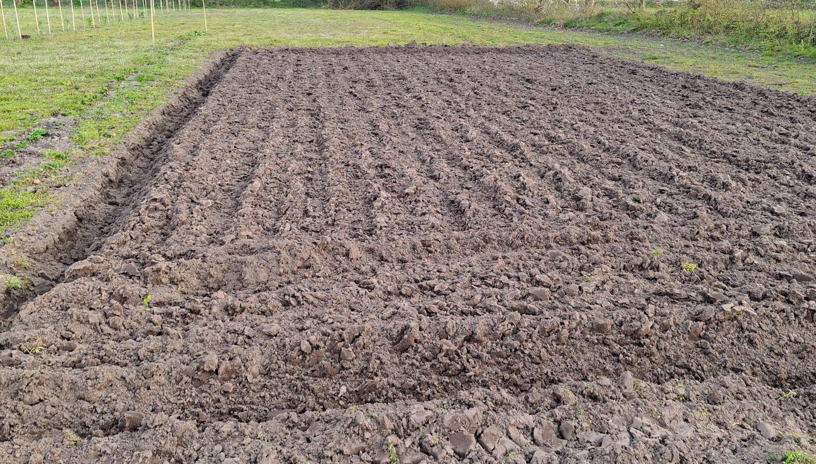 Vorbereitetes Gartenbeet